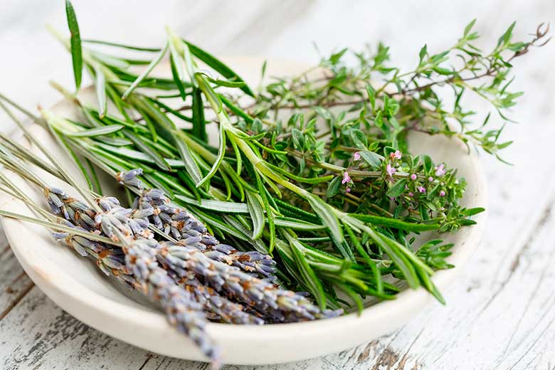 Préparez des plats paléos avec des herbes aromatiques