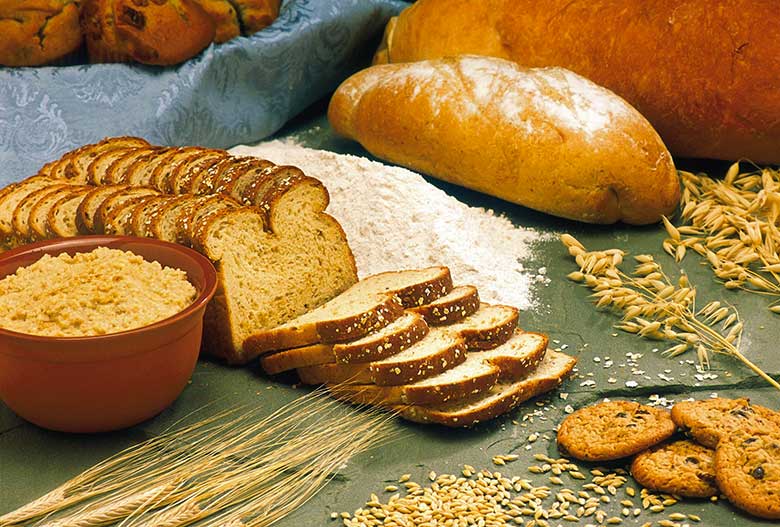 Pourquoi le pain est interdit dans le regime paleolithique
