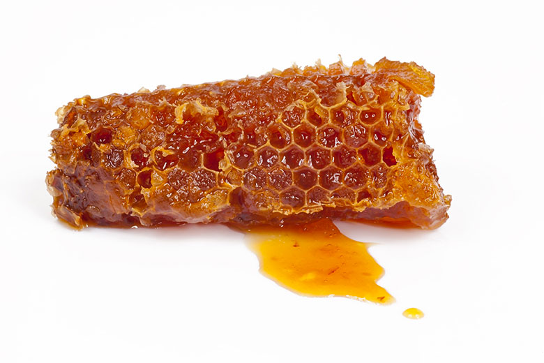 miel est paléo