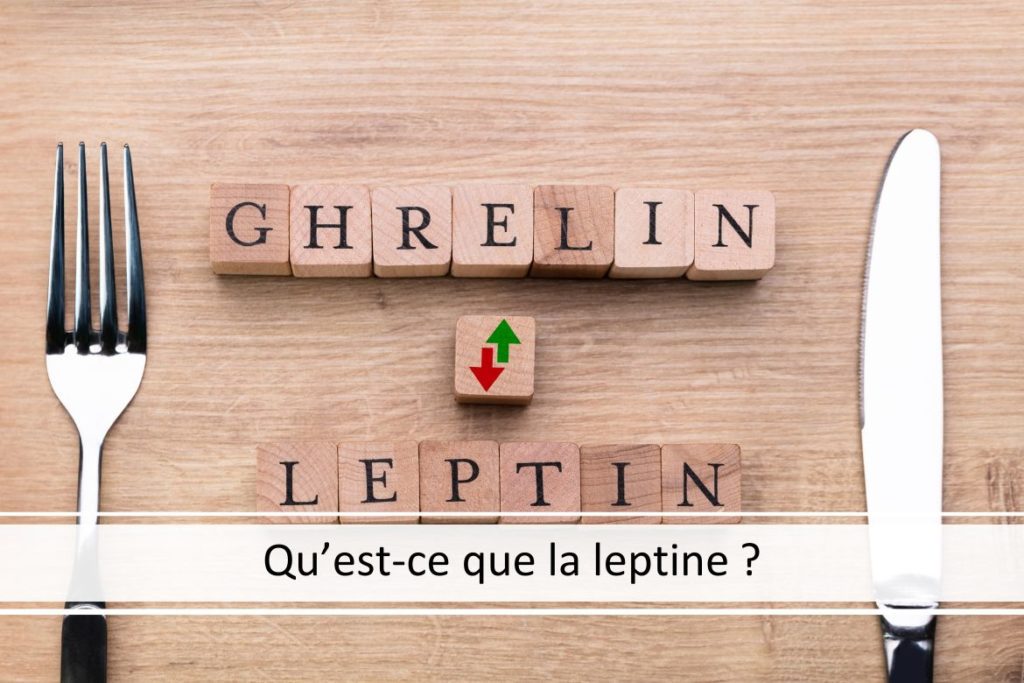 Qu’est-ce que la leptine ?