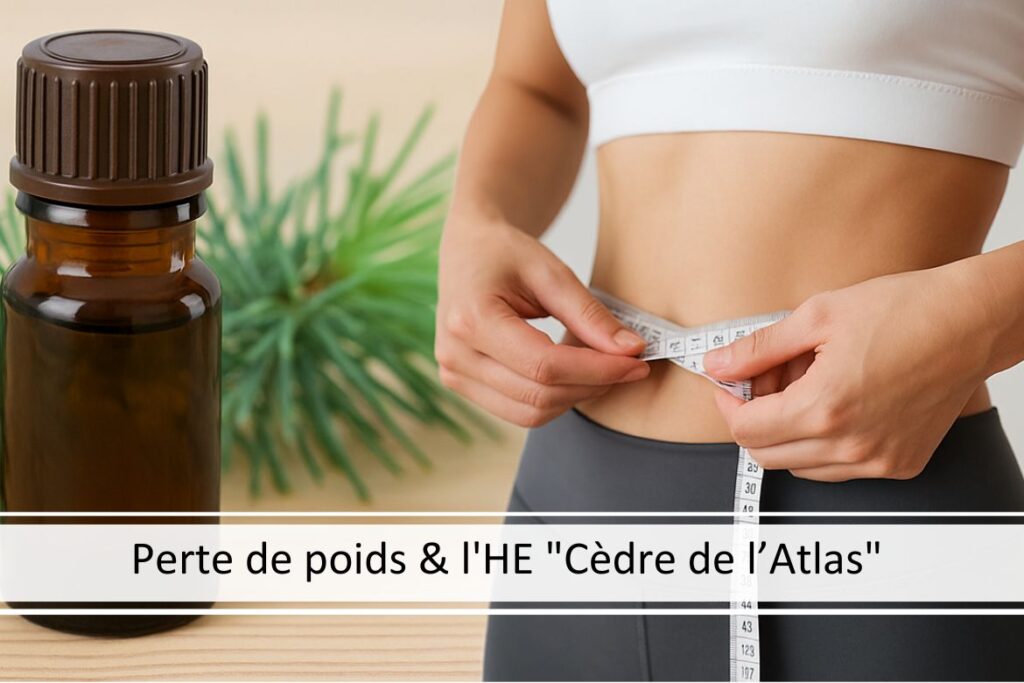 Boostez votre perte de poids avec l'huile essentielle "Cèdre de l’Atlas" 
